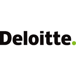 Technology partner logo