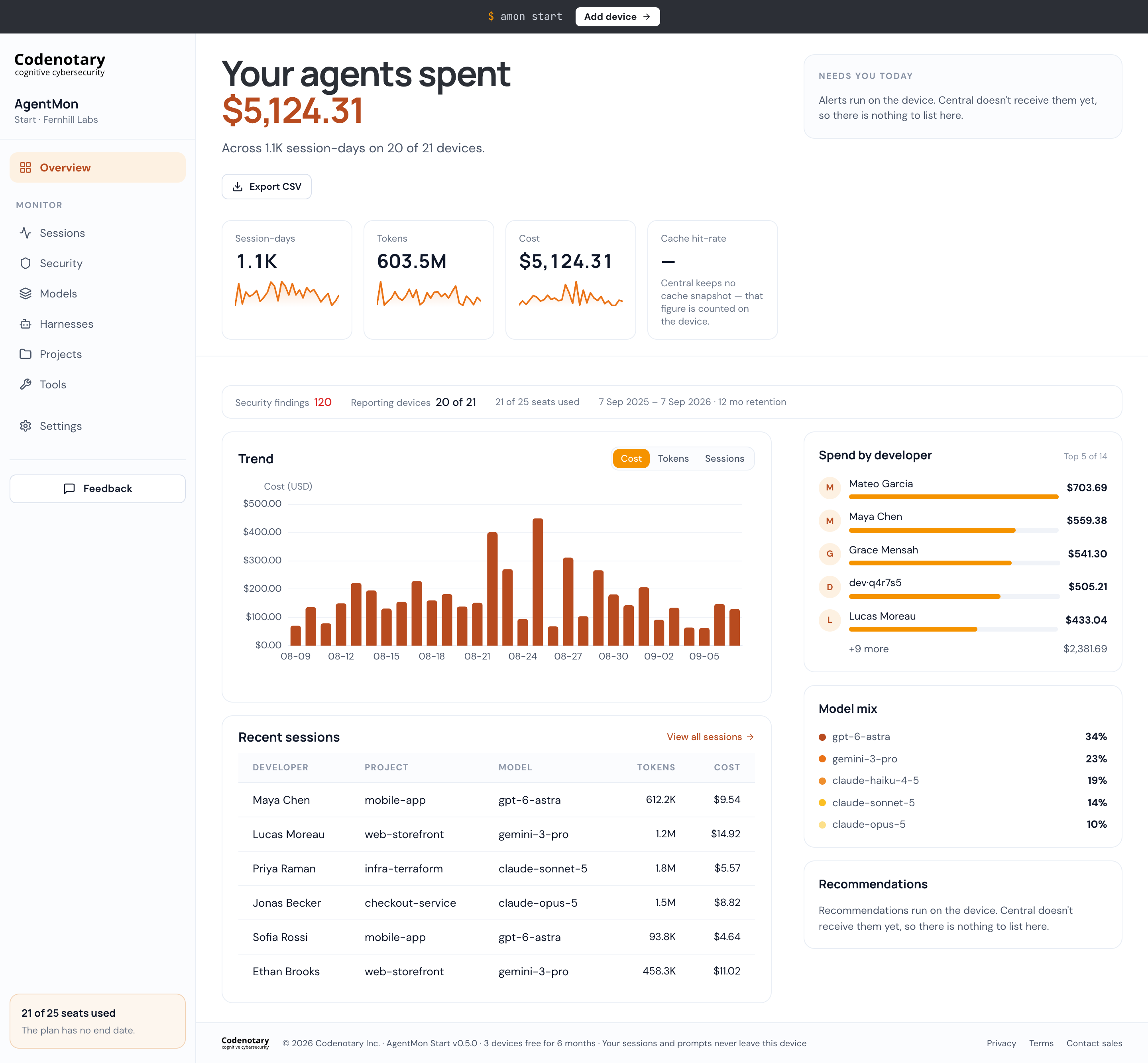 The full Overview page with recent sessions, spending by developer, and model mix